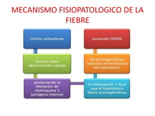 MECANISMO FISIOPATOLOGICO DE LA
FIEBRE
 