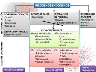 PIRÓGENOS ENDÓGENOS
GENERACIÓN DE CALOR
•Escalofrío
•Tremor
•Taquicardia
•Taquipnea
DISMINUCIÓN PERDIDA
•Vasoconstricción
INCREMENTO
PERDIDAS
•Sudoración
Profusa
•Poliuria
APORTE DE CALOR
•Taquicardia
INCREMENTO
DE PERDIDAS
•Oliguria
•Alt. hidroelectroliticas
-Efectos Perjudiciales
•Convulsiones
•Hiperventilación
•Herpes labial
-Efectos Benéficos
•↓mo.
•↑metabolismo
•↑cooperación
inmune
ELEVACIÓN TÉRMICA
-Efectos Perjudiciales
•Astenia, mialgias,
artralgias.
•Somnolencia
•Perdida masa MM
-Efectos Benéficos
•↑Prot Fase Aguda
•↑Cells
inflamatorias
•Activación Cells
inflamatorias.
FASE DE COMIENZO FASE DE ESTADO
FASE DE
DECLINACIÓN
TERMORREGULACIÓNACCIONESCOLATERALES
 