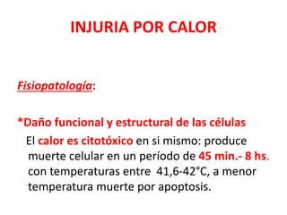 INJURIA POR CALOR
Fisiopatología:
*Daño funcional y estructural de las células
El calor es citotóxico en si mismo: produce
muerte celular en un período de 45 min.- 8 hs.
con temperaturas entre 41,6-42°C, a menor
temperatura muerte por apoptosis.
 