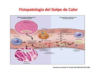 Fisiopatologia del Golpe de Calor
Bouchama A, Knochel JP. N Engl J Med 2002;346:1978-1988.
 