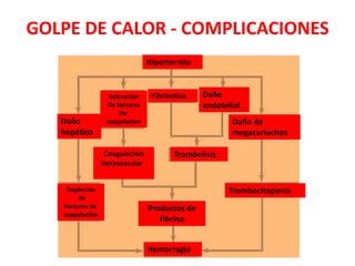 GOLPE DE CALOR - COMPLICACIONES
Hipertermia
Daño
hepático
Daño de
megacariocitos
Trombolisis
Trombocitopenia
Hemorragia
Fibrinolisis Daño
endotelial
Activación
De factores
De
coagulacion
Productos de
fibrina
Depleción
de
Factores de
coagulación
Coagulación
Intravascular
 