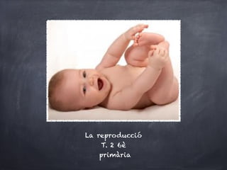 La reproducció
    T. 2 6è
    primària
 