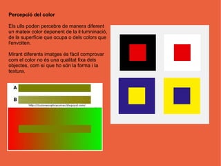 Percepció del color

Els ulls poden percebre de manera diferent
un mateix color depenent de la il·lumninació,
de la superfície que ocupa o dels colors que
l'envolten.

Mirant diferents imatges és fàcil comprovar
com el color no és una qualitat fixa dels
objectes, com sí que ho són la forma i la
textura.
 