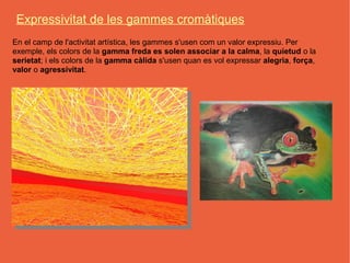 Expressivitat de les gammes cromàtiques
En el camp de l'activitat artística, les gammes s'usen com un valor expressiu. Per
exemple, els colors de la gamma freda es solen associar a la calma, la quietud o la
serietat; i els colors de la gamma càlida s'usen quan es vol expressar alegria, força,
valor o agressivitat.
 