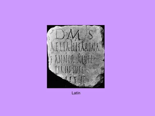 Latín 