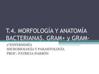 T.4. MORFOLOGÍA Y ANATOMÍA
BACTERIANAS. GRAM+ y GRAM-
2°ENFERMERÍA
MICROBIOLOGÍA Y PARASITOLOGÍA
PROF.: PATRICIA NARBÓN
 
