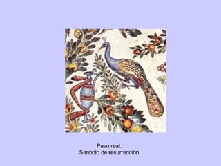 Pavo real. Símbolo de resurrección 