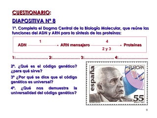CUESTIONARIO : DIAPOSITIVA Nº 8 1º. Completa el Dogma Central de la Biología Molecular, que reúne las funciones del ADN y ARN para la síntesis de las proteínas: 1:……………………. 2:………………… 3:………………….. 4:…………………..   2º. ¿Qué es el código genético? ¿para qué sirve? 3º ¿Por qué se dice que el código genético es universal?  4º. ¿Qué nos demuestra la universalidad del código genético? ADN  ARN mensajero  Proteínas 1 2 y 3 4 