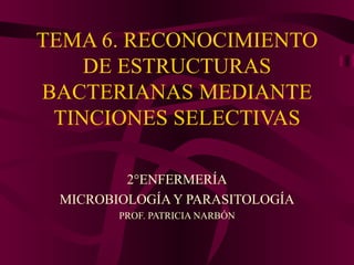 TEMA 6. RECONOCIMIENTO
    DE ESTRUCTURAS
BACTERIANAS MEDIANTE
 TINCIONES SELECTIVAS

         2°ENFERMERÍA
 MICROBIOLOGÍA Y PARASITOLOGÍA
        PROF. PATRICIA NARBÓN
 