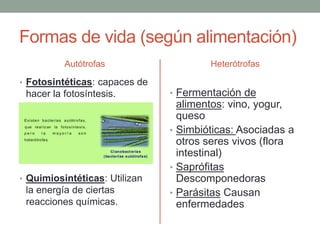 Formas de las bacterias
 
