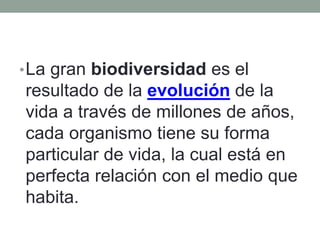 •La gran biodiversidad es el
resultado de la evolución de la
vida a través de millones de años,
cada organismo tiene su forma
particular de vida, la cual está en
perfecta relación con el medio que
habita.
 