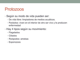 Actividades
1. ¿Qué tipos de bacterias heterótrofas hay según su
alimentación?
2. Di el nombre de estas bacterias según su forma
3. ¿Para qué sirve el mesosoma de las bacterias?
4. Dibuja en una bacteria el mesosoma, los pili y el ADN.
5. ¿Cuáles son los tres elementos de la bacteria que no
todas las bacterias tienen?
 