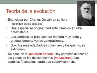 Teoría de la evolución
• Enunciada por Charles Darwin en su libro
• “ El origen de las especies”
1. Una especie se origina mediante cambios en otra
preexistente.
2. Los cambios se producen de manera muy lenta y
gradual durante varias generaciones.
3. Sólo los más adaptados sobreviven y los que no, se
extinguen.
• Se basa en la selección natural: Hay cambios al azar en
los genes de los descendientes (mutaciones). Los
cambios favorables harán que sobrevivan más.
 