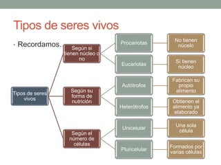 Tipos de seres vivos
• Recordamos….
Tipos de seres
vivos
Según si
tienen núcleo o
no
Procariotas
No tienen
núcelo
Eucariotas
Sí tienen
núcleo
Según su
forma de
nutrición
Autótrofos
Fabrican su
propio
alimento
Heterótrofos
Obtienen el
alimento ya
elaborado
Según el
número de
células
Unicelular
Una sola
célula
Pluricelular
Formados por
varias células
 
