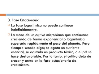 3. Fase Estacionaria
 La fase logarítmica no puede continuar

  indefinidamente.
 La masa de un cultivo microbiano que continuara

  creciendo de forma exponencial o logarítmica
  superaría rápidamente el peso del planeta. Pero
  siempre sucede algo; se agota un nutriente
  esencial, se acumula un producto tóxico, o el pH se
  hace desfavorable. Por lo tanto, el cultivo deja de
  crecer y entra en la fase estacionaria de
  crecimiento.
 