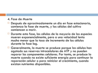 4. Fase de Muerte
 Después de aproximadamente un día en fase estacionaria,
   comienza la fase de muerte, y las células del cultivo
   comienzan a morir.
 Durante esta fase, las células de la mayoría de las especies
   mueren exponencialmente, pero a una velocidad lenta
   mucho menor que la tasa de incremento de las células
   durante la fase log.
 Generalmente, la muerte se produce porque las células han
   agotado sus reservas intracelulares de ATP y no pueden
   reparar los componentes celulares. Por tanto, se produce la
   muerte cuando no existe suficiente energía para continuar la
   reparación celular o para reiniciar el crecimiento, cuando
   existan nutrientes disponibles.
 