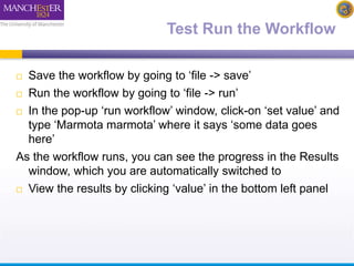 Test Run the Workflow 
 Save the workflow by going to ‘file -> save’ 
 Run the workflow by going to ‘file -> run’ 
 In the pop-up ‘run workflow’ window, click-on ‘set value’ and 
type ‘Marmota marmota’ where it says ‘some data goes 
here’ 
As the workflow runs, you can see the progress in the Results 
window, which you are automatically switched to 
 View the results by clicking ‘value’ in the bottom left panel 
 