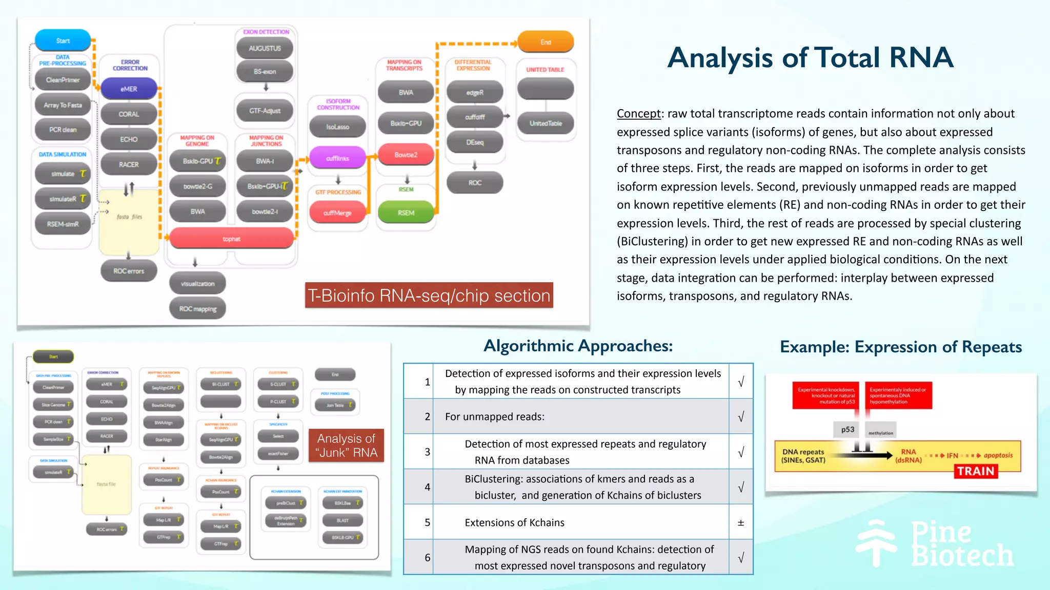Analysis of Total RNA
Concept:	raw	total	transcriptome	reads	contain	informa4on	not	only	about	
expressed	splice	variants	(isoforms)	of	genes,	but	also	about	expressed	
transposons	and	regulatory	non-coding	RNAs.	The	complete	analysis	consists	
of	three	steps.	First,	the	reads	are	mapped	on	isoforms	in	order	to	get	
isoform	expression	levels.	Second,	previously	unmapped	reads	are	mapped	
on	known	repe44ve	elements	(RE)	and	non-coding	RNAs	in	order	to	get	their	
expression	levels.	Third,	the	rest	of	reads	are	processed	by	special	clustering	
(BiClustering)	in	order	to	get	new	expressed	RE	and	non-coding	RNAs	as	well	
as	their	expression	levels	under	applied	biological	condi4ons.	On	the	next	
stage,	data	integra4on	can	be	performed:	interplay	between	expressed	
isoforms,	transposons,	and	regulatory	RNAs.	
1
Detec4on	of	expressed	isoforms	and	their	expression	levels	
by	mapping	the	reads	on	constructed	transcripts
√
2 For	unmapped	reads: √
3
Detec4on	of	most	expressed	repeats	and	regulatory	
RNA	from	databases
√
4
BiClustering:	associa4ons	of	kmers	and	reads	as	a	
bicluster,		and	genera4on	of	Kchains	of	biclusters	
√
5 Extensions	of	Kchains	 ±
6
Mapping	of	NGS	reads	on	found	Kchains:	detec4on	of	
most	expressed	novel	transposons	and	regulatory	
RNAs
√
T-Bioinfo RNA-seq/chip section
Example: Expression of RepeatsAlgorithmic Approaches:
Analysis of
“Junk” RNA
 