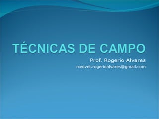 Prof. Rogerio Alvares [email_address] 