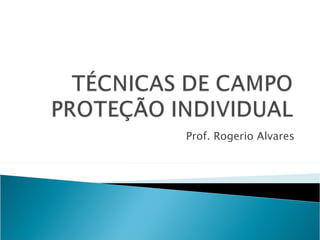Prof. Rogerio Alvares 