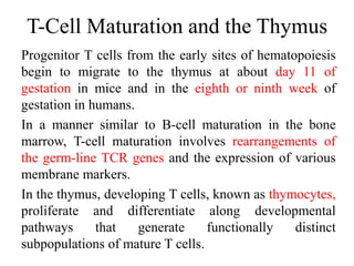 T Cell Maturing T-Cell Development.pdf