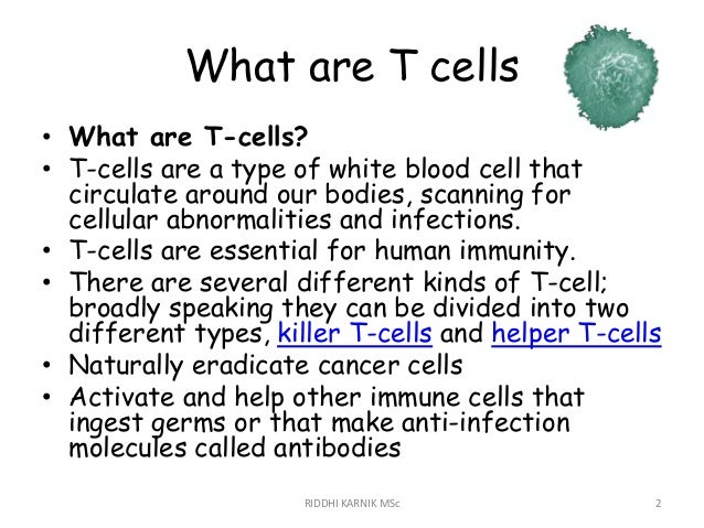 T cell lymphomas ppt