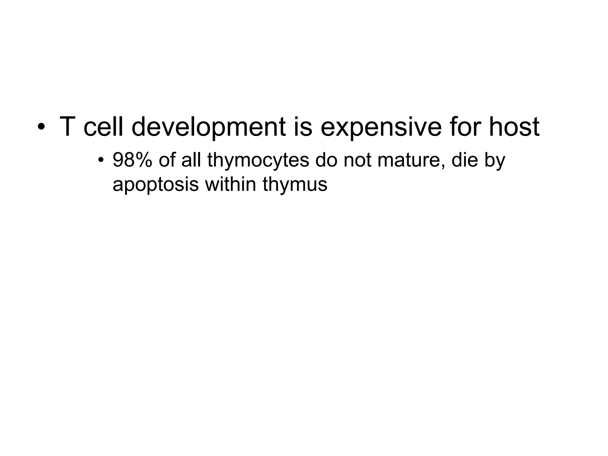 • T cell development is expensive for host
• 98% of all thymocytes do not mature, die by
apoptosis within thymus
 