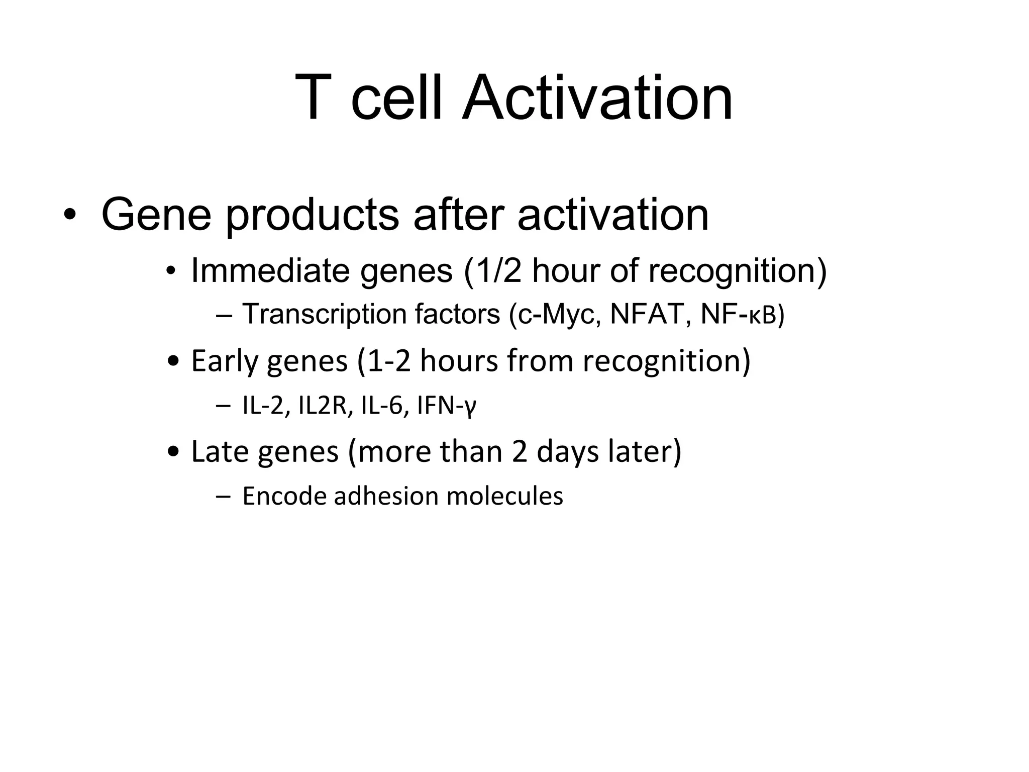 T cell Activation
• Gene products after activation
• Immediate genes (1/2 hour of recognition)
– Transcription factors (c-Myc, NFAT, NF-κB)
• Early genes (1-2 hours from recognition)
– IL-2, IL2R, IL-6, IFN-γ
• Late genes (more than 2 days later)
– Encode adhesion molecules
 
