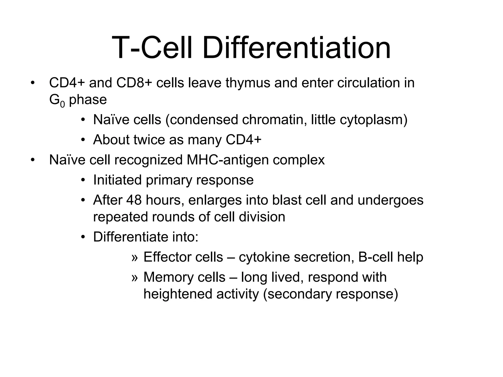 T-Cell Differentiation
• CD4+ and CD8+ cells leave thymus and enter circulation in
G0 phase
• Naïve cells (condensed chromatin, little cytoplasm)
• About twice as many CD4+
• Naïve cell recognized MHC-antigen complex
• Initiated primary response
• After 48 hours, enlarges into blast cell and undergoes
repeated rounds of cell division
• Differentiate into:
» Effector cells – cytokine secretion, B-cell help
» Memory cells – long lived, respond with
heightened activity (secondary response)
 