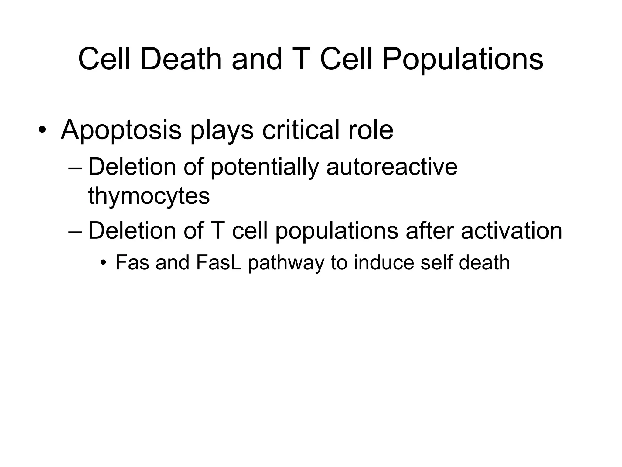 Cell Death and T Cell Populations
• Apoptosis plays critical role
– Deletion of potentially autoreactive
thymocytes
– Deletion of T cell populations after activation
• Fas and FasL pathway to induce self death
 