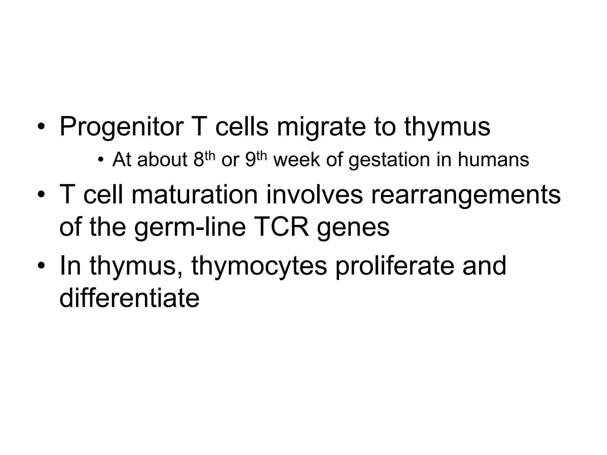 • Progenitor T cells migrate to thymus
• At about 8th or 9th week of gestation in humans
• T cell maturation involves rearrangements
of the germ-line TCR genes
• In thymus, thymocytes proliferate and
differentiate
 