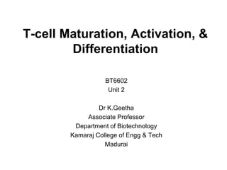 T-cell Maturation, Activation, &
Differentiation
BT6602
Unit 2
Dr K.Geetha
Associate Professor
Department of Biotechnology
Kamaraj College of Engg & Tech
Madurai
 