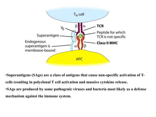 •Superantigens (SAgs) are a class of antigens that cause non-specific activation of T-
cells resulting in polyclonal T cell activation and massive cytokine release.
•SAgs are produced by some pathogenic viruses and bacteria most likely as a defense
mechanism against the immune system.
 