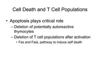 Cell Death and T Cell Populations
• Apoptosis plays critical role
– Deletion of potentially autoreactive
thymocytes
– Deletion of T cell populations after activation
• Fas and FasL pathway to induce self death
 