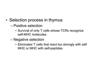 • Selection process in thymus
– Positive selection
• Survival of only T cells whose TCRs recognize
self-MHC molecules
– Negative selection
• Eliminates T cells that react too strongly with self
MHC or MHC with self-peptides
 