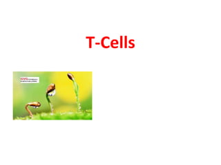 T-Cells
 