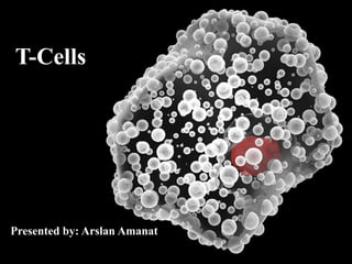 T-Cells
Presented by: Arslan Amanat
 