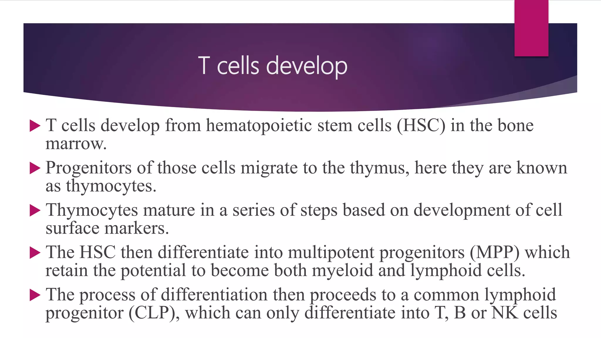 T cells develop
 T cells develop from hematopoietic stem cells (HSC) in the bone
marrow.
 Progenitors of those cells migrate to the thymus, here they are known
as thymocytes.
 Thymocytes mature in a series of steps based on development of cell
surface markers.
 The HSC then differentiate into multipotent progenitors (MPP) which
retain the potential to become both myeloid and lymphoid cells.
 The process of differentiation then proceeds to a common lymphoid
progenitor (CLP), which can only differentiate into T, B or NK cells
 