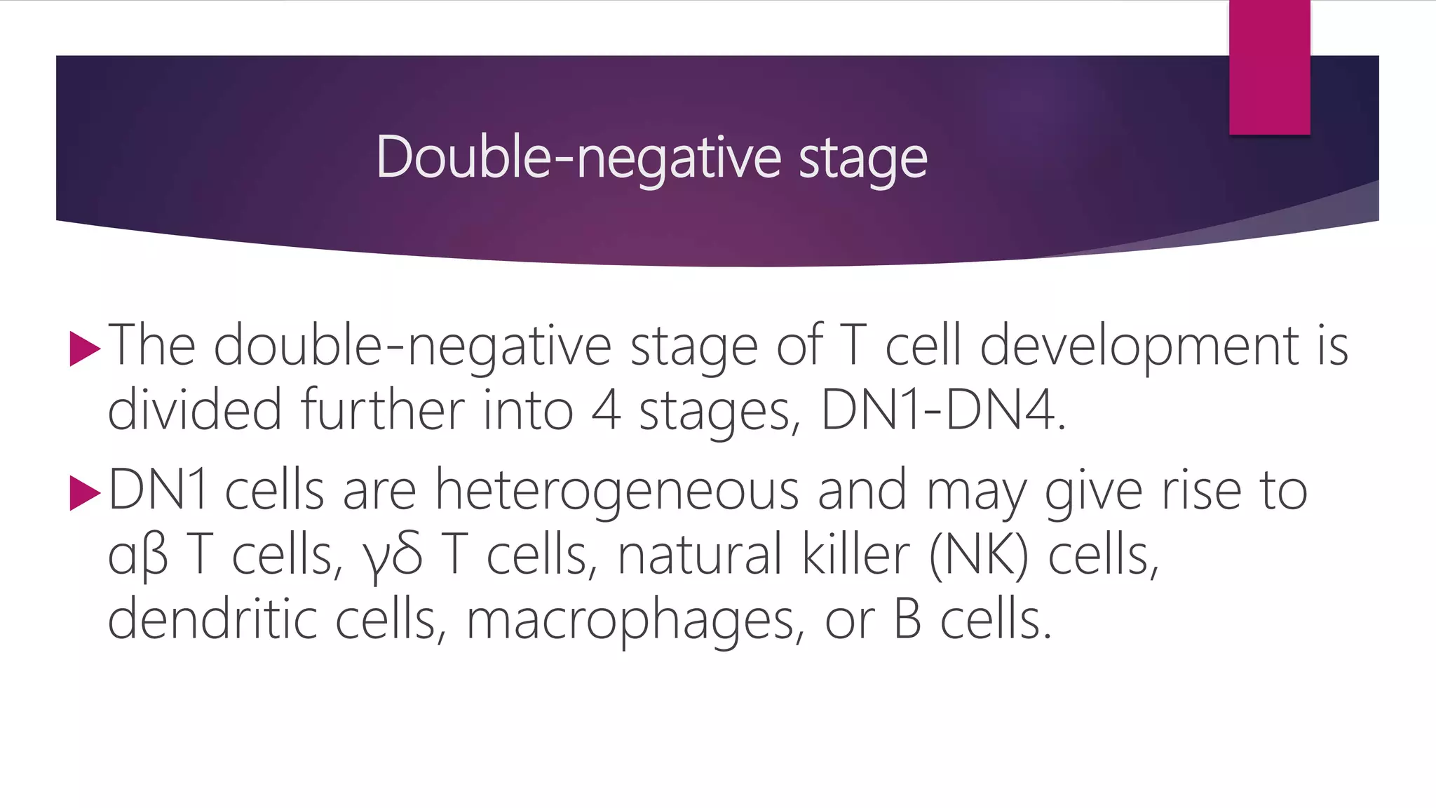 Double-negative stage
The double-negative stage of T cell development is
divided further into 4 stages, DN1-DN4.
DN1 cells are heterogeneous and may give rise to
ɑβ T cells, γδ T cells, natural killer (NK) cells,
dendritic cells, macrophages, or B cells.
 