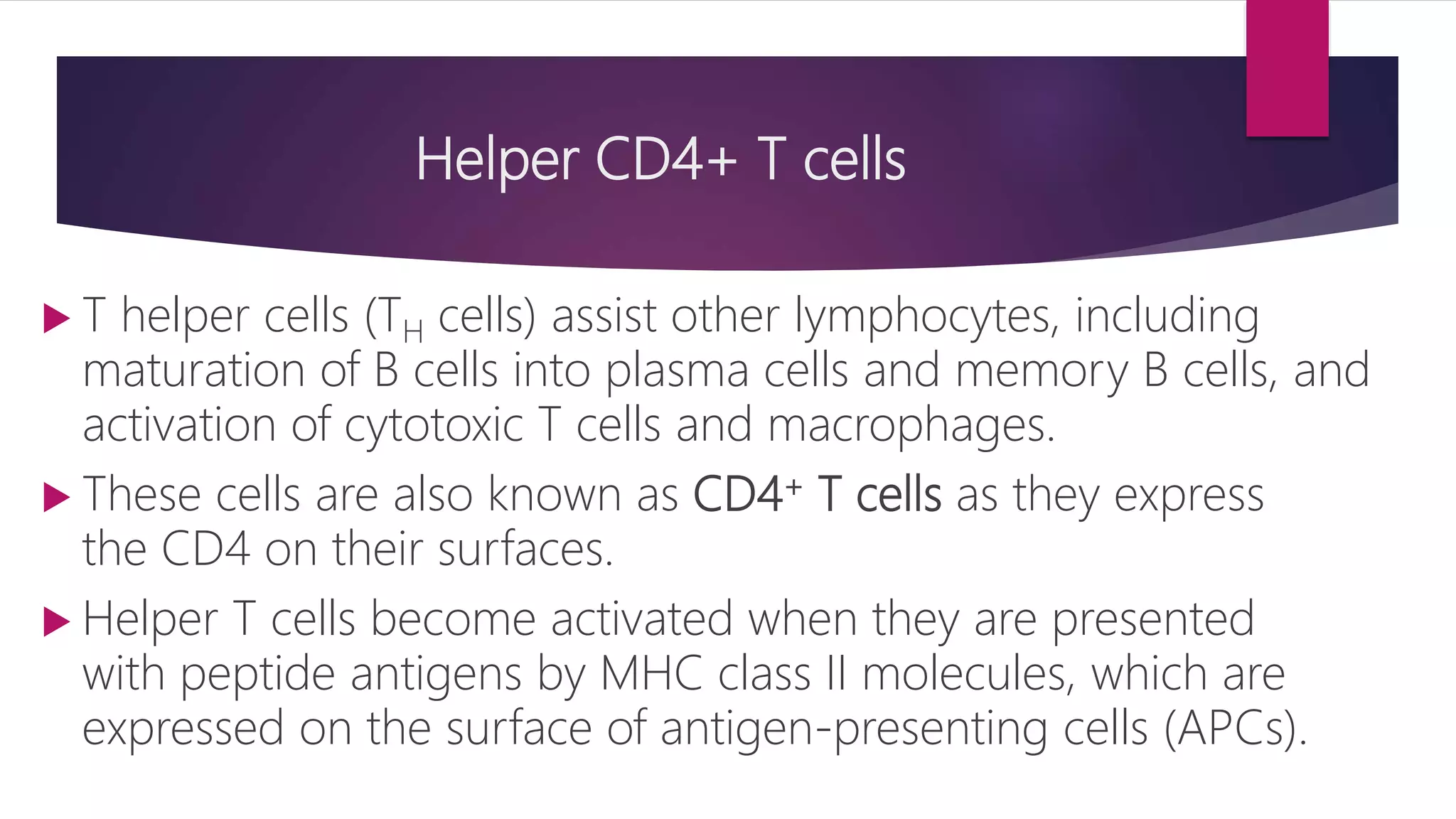 Helper CD4+ T cells
 T helper cells (TH cells) assist other lymphocytes, including
maturation of B cells into plasma cells and memory B cells, and
activation of cytotoxic T cells and macrophages.
 These cells are also known as CD4+ T cells as they express
the CD4 on their surfaces.
 Helper T cells become activated when they are presented
with peptide antigens by MHC class II molecules, which are
expressed on the surface of antigen-presenting cells (APCs).
 
