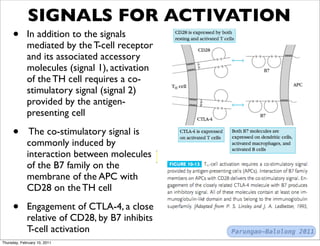 SIGNALS FOR ACTIVATION
     •       In addition to the signals
             mediated by the T-cell receptor
             and its associated accessory
             molecules (signal 1), activation
             of the TH cell requires a co-
             stimulatory signal (signal 2)
             provided by the antigen-
             presenting cell

     •        The co-stimulatory signal is
             commonly induced by
             interaction between molecules
             of the B7 family on the
             membrane of the APC with
             CD28 on the TH cell

     •       Engagement of CTLA-4, a close
             relative of CD28, by B7 inhibits
             T-cell activation                  Parungao-Balolong 2011
Thursday, February 10, 2011
 