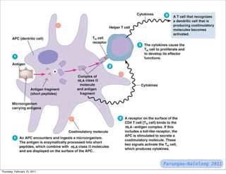 Parungao-Balolong 2011
Thursday, February 10, 2011
 