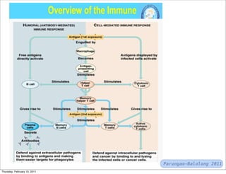 Parungao-Balolong 2011
Thursday, February 10, 2011
 