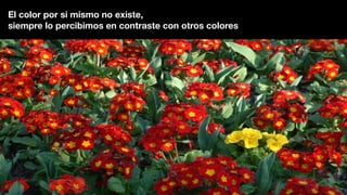 El color por si mismo no existe,
siempre lo percibimos en contraste con otros colores
 