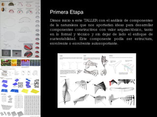 Dimos inicio a este TALLER con el análisis de componentes de la naturaleza que nos aportar í an ideas para desarrollar componentes constructivos con valor arquitectónico, tanto en lo formal y técnico y sin dejar de lado el enfoque de sustentabilidad. Este componente podía ser estructura, envolvente o envolvente autosoportante. Primera Etapa 