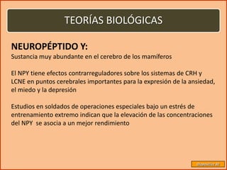 TEORÍAS BIOLÓGICAS

NEUROPÉPTIDO Y:
Sustancia muy abundante en el cerebro de los mamíferos

El NPY tiene efectos contrarreguladores sobre los sistemas de CRH y
LCNE en puntos cerebrales importantes para la expresión de la ansiedad,
el miedo y la depresión

Estudios en soldados de operaciones especiales bajo un estrés de
entrenamiento extremo indican que la elevación de las concentraciones
del NPY se asocia a un mejor rendimiento




                                                                Diapositiva 30
 