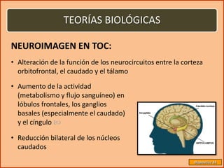 TEORÍAS BIOLÓGICAS

NEUROIMAGEN EN TOC:
• Alteración de la función de los neurocircuitos entre la corteza
  orbitofrontal, el caudado y el tálamo

• Aumento de la actividad
  (metabolismo y flujo sanguíneo) en
  lóbulos frontales, los ganglios
  basales (especialmente el caudado)
  y el cíngulo 

• Reducción bilateral de los núcleos
  caudados
                                                              Diapositiva 33
 