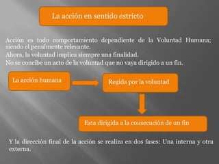 La acción en sentido estricto


Acción es todo comportamiento dependiente de la Voluntad Humana;
siendo el penalmente relevante.
Ahora, la voluntad implica siempre una finalidad.
No se concibe un acto de la voluntad que no vaya dirigido a un fin.

  La acción humana                    Regida por la voluntad




                             Esta dirigida a la consecución de un fin


 Y la dirección final de la acción se realiza en dos fases: Una interna y otra
 externa.
 