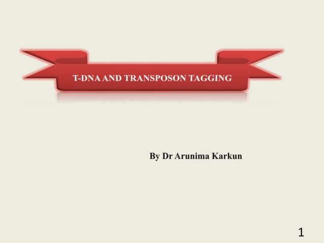 T dna & transposone tagging 1 (2) | PPTX | Genetics | Science