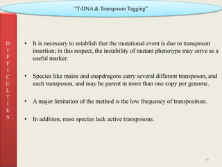 T dna & transposone tagging 1 (2) | PPTX